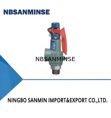 N型 鋳鉄のスプリングセーフティバルブ 35バーのフレンチキー