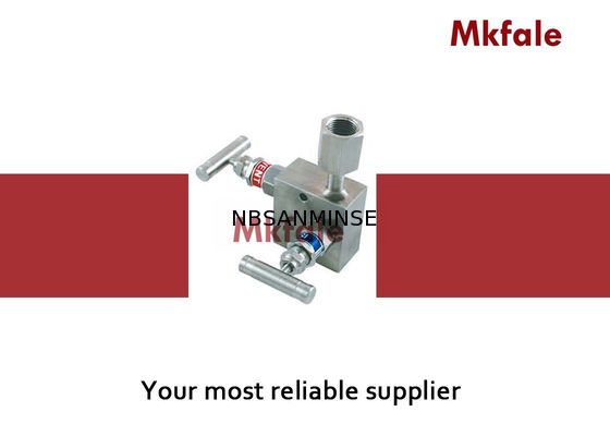 2つの弁の多様な口径測定の多様な針弁多岐管の自由回転のタイプ
