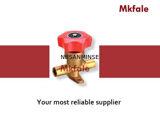 手動停止電気ソレノイドの空気弁のテフロン真鍮の電磁弁板特別な設計