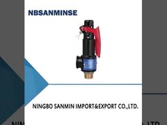 N型 鋳鉄のスプリングセーフティバルブ 35バーのフレンチキー